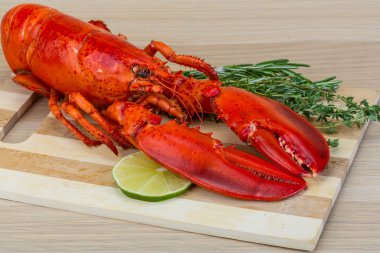 Kırmızı haşlanmış ıstakoz