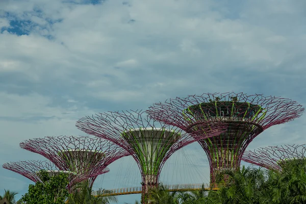 CINGAPORE - 12 de maio: Jardins perto da Baía em 12 de março de 2014 em Singap — Fotografia de Stock