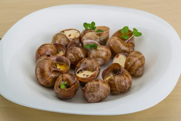 Escargot — Stock Photo, Image