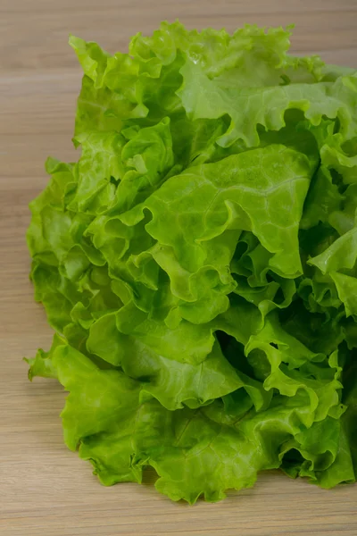 Salad leaves — Stock Photo, Image