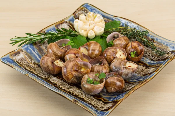 Escargot — Foto Stock