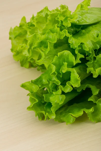 Salata marul yaprakları