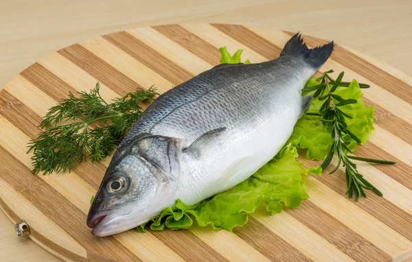 Raw seabass — Stock Photo, Image