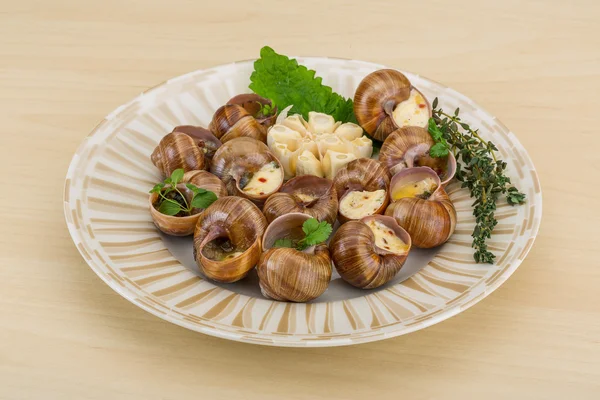 Escargot — Foto Stock