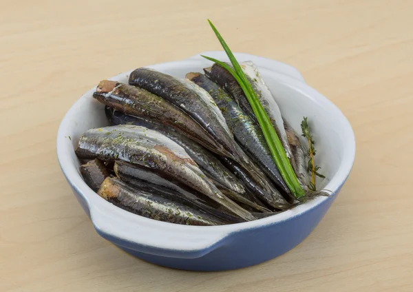 Anchoa salada — Foto de Stock