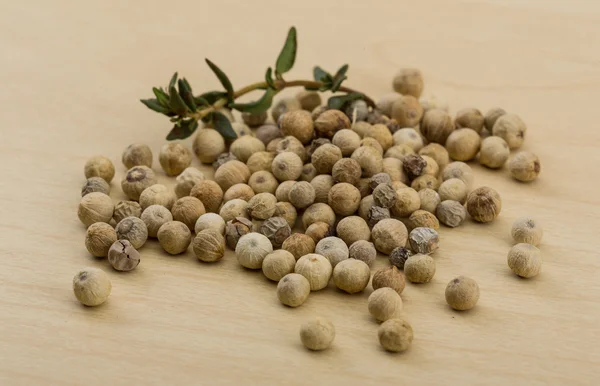 Semillas de pimienta blanca — Foto de Stock