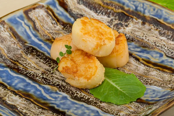 Grilled scallops — Stock Photo, Image