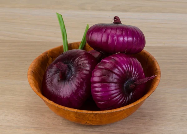Cebola violeta — Fotografia de Stock