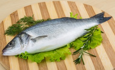 çiğ levrek