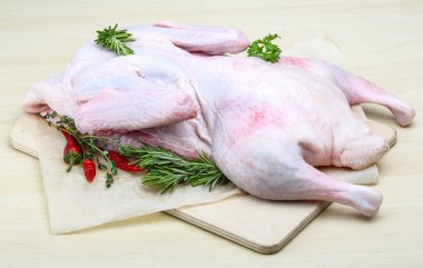 ham ördek