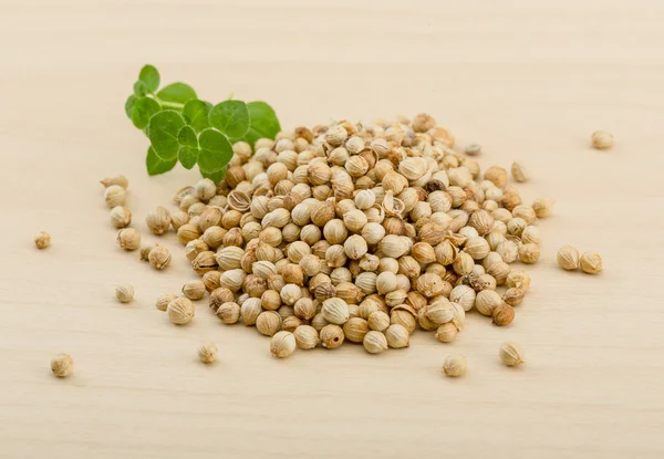 Coriander seeds — Stock Photo, Image