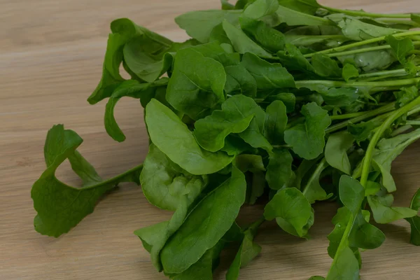 Rucola bladeren — Stockfoto