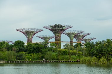 Körfez kenarındaki bahçeler