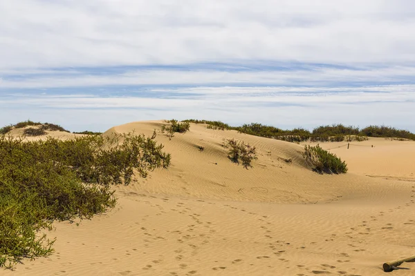 Maspalomas Duna - Deserto nell'isola delle Canarie Gran Canaria — Foto Stock