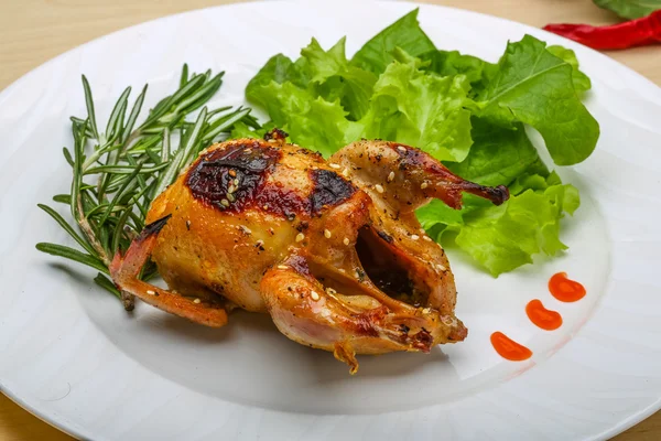 Roasted Quail — Stock Photo, Image