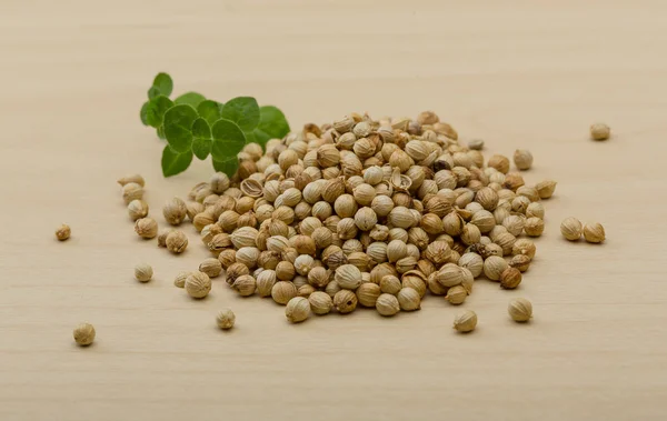 Coriander seeds — Stock Photo, Image