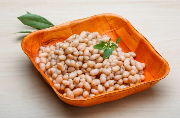 Fagioli in scatola bianchi — Foto Stock