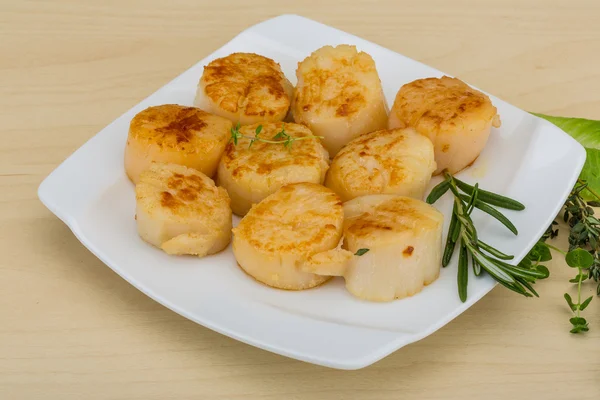 Grilled scallops — Stock Photo, Image