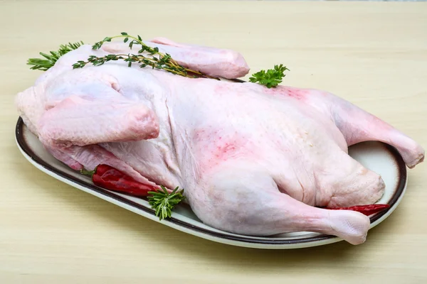 Raw duck — Stock Photo, Image