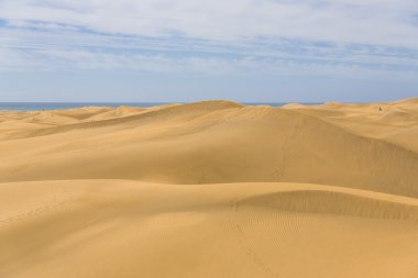 Maspalomas Duna - Kanarya adası Büyük Kanarya Çölü