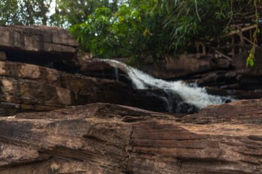 Kamboçya'da şelale