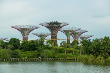 Singapur - 12 Mayıs: mar 12, 2014 yılında singap körfezde bahçelerle