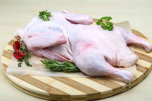 Raw duck — Stock Photo, Image