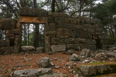 Phaselis harabelerini Türkiye'de