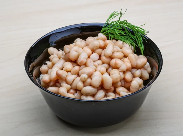 Bílá konzervované fazole — Stock fotografie
