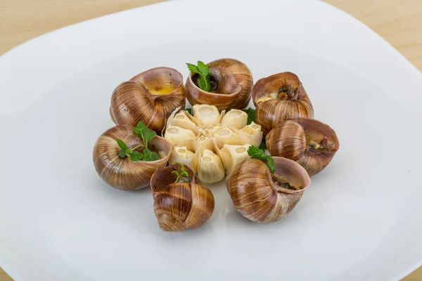 Escargot — Foto Stock