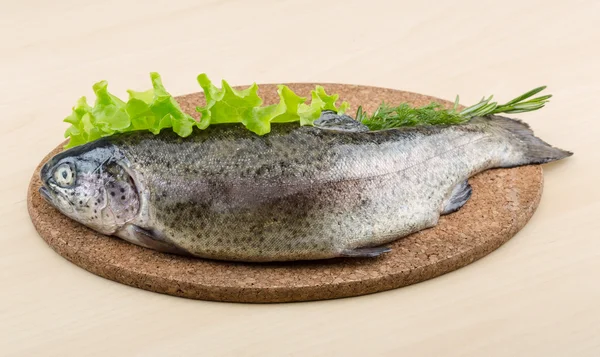 Raw fresh trout — Stock Photo, Image