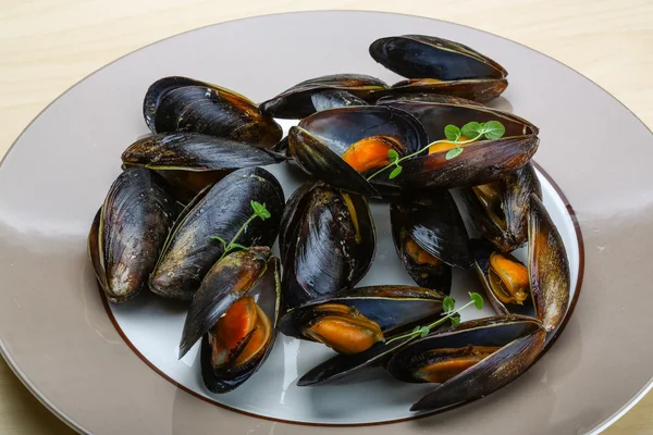 Cozze bollite — Foto Stock