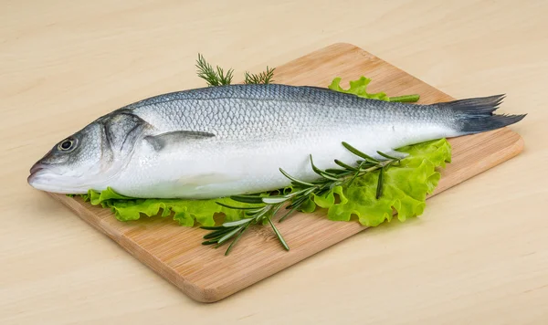 Raw seabass — Stock Photo, Image