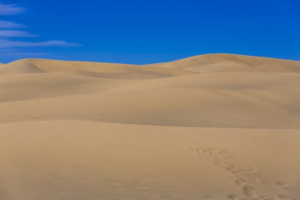 Wüste Maspalomas Duna — Stockfoto