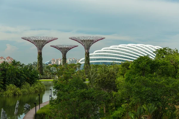 Gardens By The Bay στη Σιγκαπούρη — Φωτογραφία Αρχείου