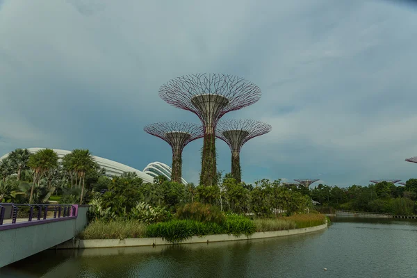 Gardens by the Bay in Singapore — Stock Photo, Image