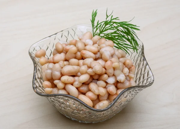 Bílá konzervované fazole — Stock fotografie