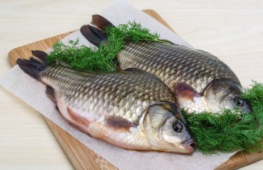 İki havuz balıklar