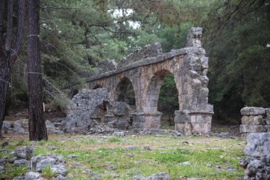 Phaselis harabelerini Türkiye'de