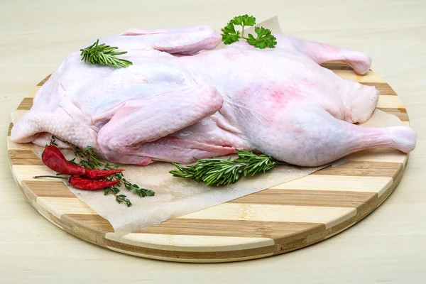 Raw duck ready for cooking — Stock Photo, Image