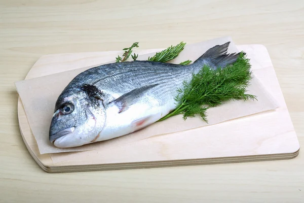 Surowe ryby dorado — Zdjęcie stockowe