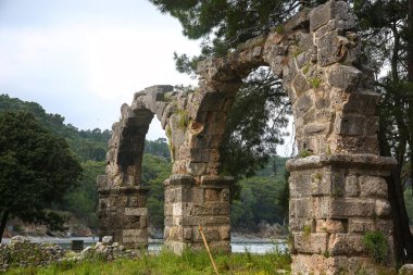 Phaselis harabelerini Türkiye'de