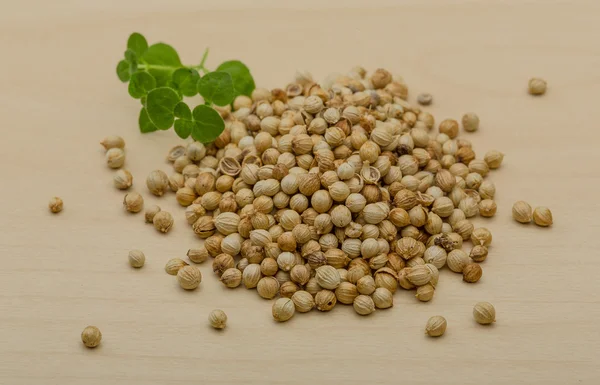 Coriander seeds — Stock Photo, Image