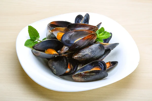 Moules bouillies aux herbes — Photo