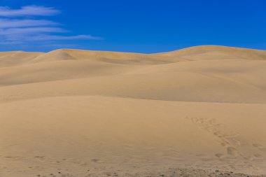 Maspalomas Duna - Kanarya adası Büyük Kanarya Çölü