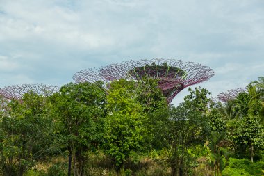 Singapur Körfezi 'ndeki Bahçeler