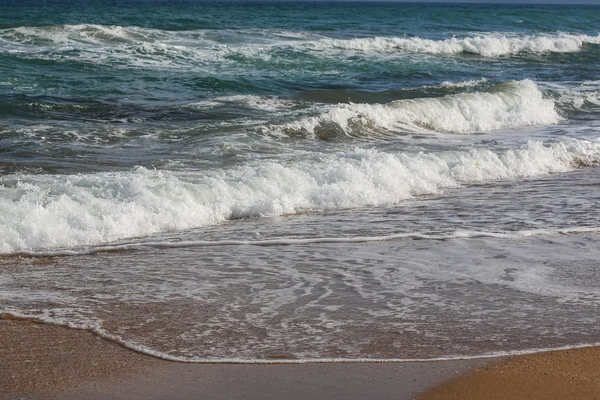 Pantai Laut Hitam — Stok Foto
