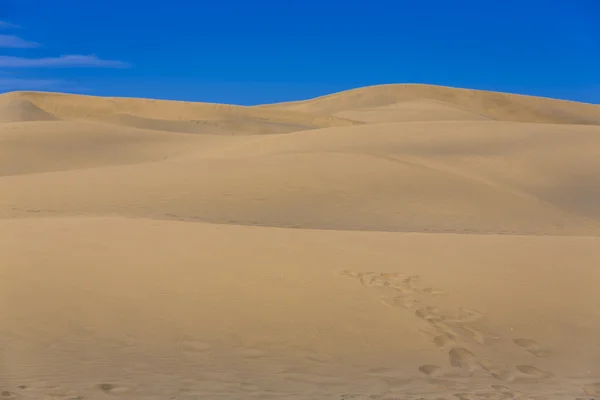 Maspalomas Duna - poušť na Kanárském ostrově Gran Canaria — Stock fotografie