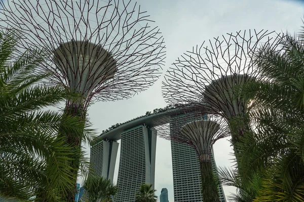 Trädgårdar vid bukten i Singapore — Stockfoto