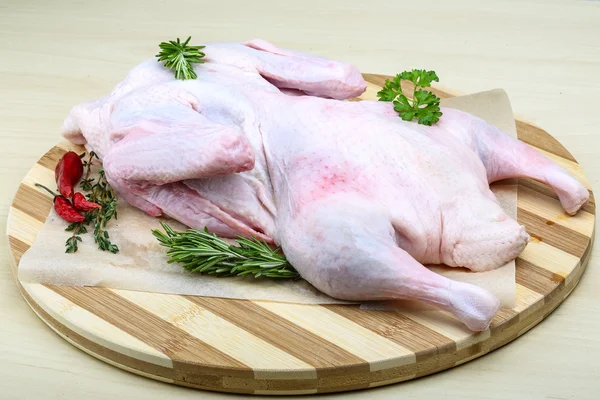 Raw duck — Stock Photo, Image